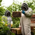 How to Get Started with kate middleton beekeeping hobby