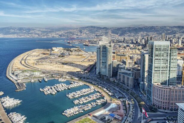 A Guide to Its History and Culture lebanon