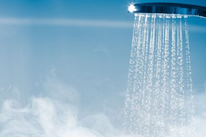 Everything You Need to Know About steam shower